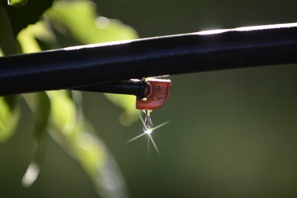 chute d une seule goutte d eau sur fond de nature verdoyante