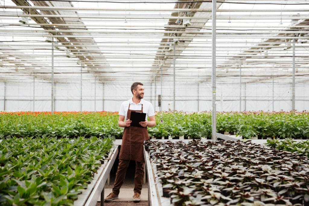 jeune jardinier travaillant avec des plantes en serre