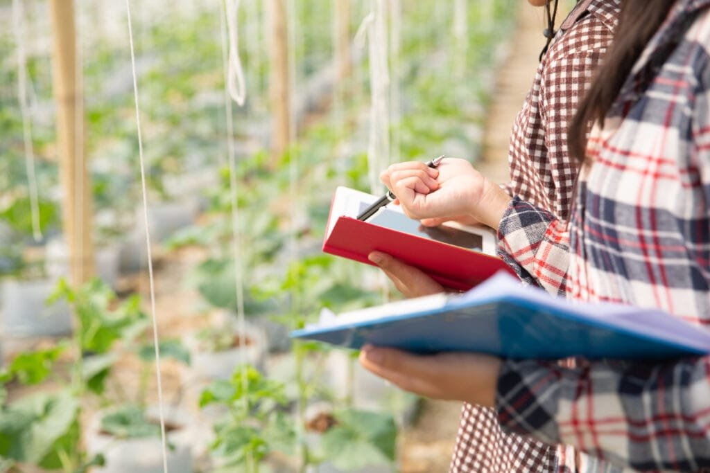 l agronome examine les plants de melon en croissance a la ferme les agriculteurs et les chercheurs dans l analyse de la plante