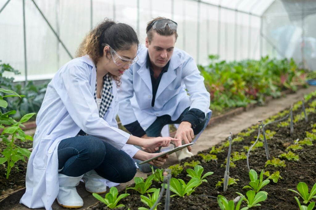 scientis analyse des plantes de legumes biologiques dans un concept de serre de technologie agricole