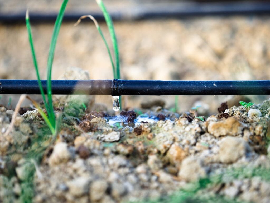 systeme d irrigation goutte a goutte pour economiser l eau utilisee dans un champ agricole