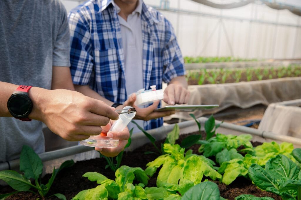 midsection man preparing food table