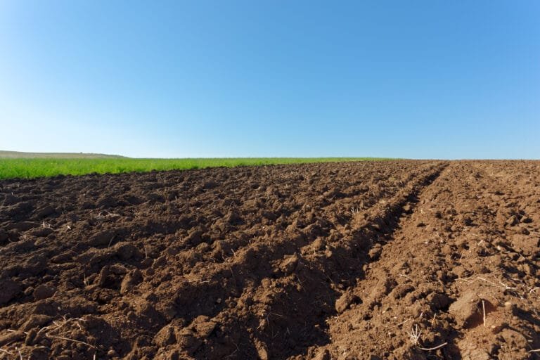 agriculture