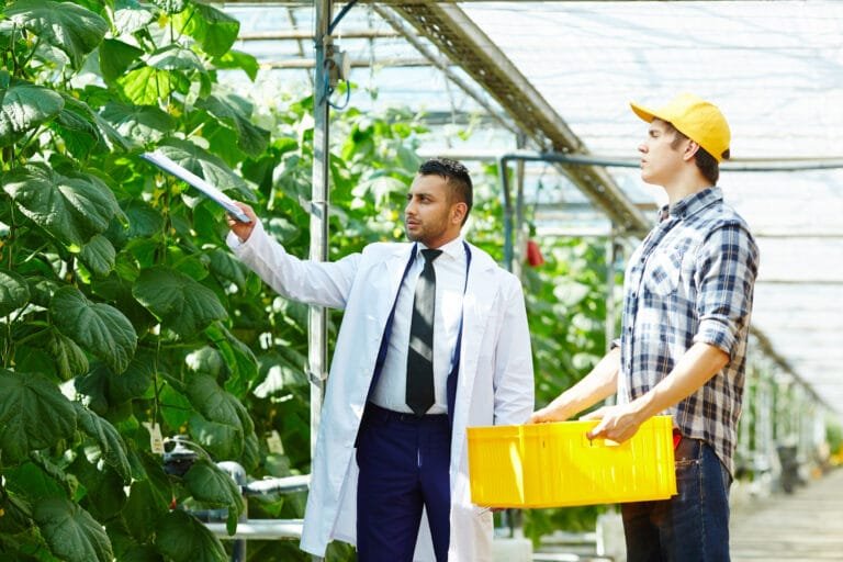working hothouse